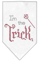 Halloween Pet and Dog Bandana Rhinestone, "I'm The Trick"