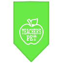 Pet and Dog Bandana Screen Printed, "Teachers Pet"