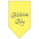 Pet and Dog Bandana Rhinestone, "Birthday Boy"
