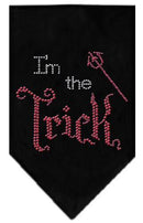 Halloween Pet and Dog Bandana Rhinestone, "I'm The Trick"