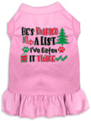 Christmas Pet, Dog and Cat Dress Screen Printed, "He's Making A List, I've Eaten It Twice"