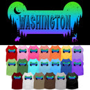 Pet Dog & Cat Screen Printed Shirt for Small to Medium Pets (Sizes XS-XL), "Washington Mountain Shades"