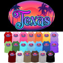 Pet Dog & Cat Screen Printed Shirt for Small to Medium Pets (Sizes XS-XL), "Texas Classic Beach"