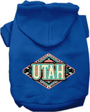 Pet Dog & Cat Screen Printed Hoodie for Medium to Large Pets (Sizes 2XL-6XL), "Utah Peach Aztec"