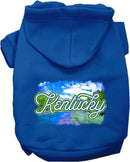 Pet Dog & Cat Screen Printed Hoodie for Medium to Large Pets (Sizes 2XL-6XL), "Kentucky Summer"