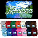 Pet Dog & Cat Screen Printed Hoodie for Medium to Large Pets (Sizes 2XL-6XL), "Montana Summer"