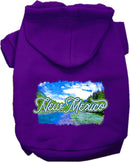 Pet Dog & Cat Screen Printed Hoodie for Small to Medium Pets (Sizes XS-XL), "New Mexico Summer"