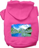 Pet Dog & Cat Screen Printed Hoodie for Medium to Large Pets (Sizes 2XL-6XL), "New Mexico Summer"