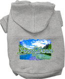 Pet Dog & Cat Screen Printed Hoodie for Small to Medium Pets (Sizes XS-XL), "Pennsylvania Summer"