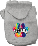 Pet Dog & Cat Screen Printed Hoodie for Medium to Large Pets (Sizes 2XL-6XL), "Indiana Bright Tie Dye"