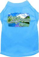 Pet Dog & Cat Screen Printed Shirt for Medium to Large Pets (Sizes 2XL-6XL), "California Summer"