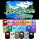 Pet Dog & Cat Screen Printed Shirt for Medium to Large Pets (Sizes 2XL-6XL), "Pennsylvania Summer"