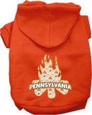 Pet Dog & Cat Screen Printed Hoodie for Medium to Large Pets (Sizes 2XL-6XL), "Pennsylvania Around The Campfire"