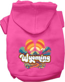 Pet Dog & Cat Screen Printed Hoodie for Medium to Large Pets (Sizes 2XL-6XL), "Wyoming Groovy Summit"