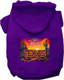 Pet Dog & Cat Screen Printed Hoodie for Medium to Large Pets (Sizes 2XL-6XL), "Texas Neon Desert"