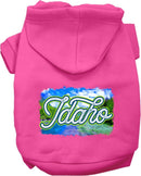 Pet Dog & Cat Screen Printed Hoodie for Medium to Large Pets (Sizes 2XL-6XL), "Idaho Summer"