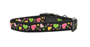 Pet Dog & Cat Nylon Collar or Leash, "Neon Love"