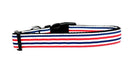 Pet Dog & Cat Nylon Collar or Leash, "Patriotic Stripes"