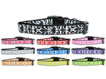 Pet Dog & Cat Nylon Collar, "Damask" *Available in 10 different colors!*