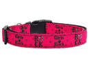 Pet Dog & Cat Nylon Collar or Leash, "Girls Rock"