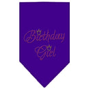 Pet and Dog Bandana Rhinestone, "Birthday Girl"