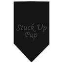 Pet and Dog Bandana Rhinestone, "Stuck Up Pup"