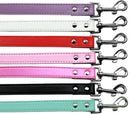 Pet, Dog or Cat Premium Pet Leash  (1/2" wide x 4' long)