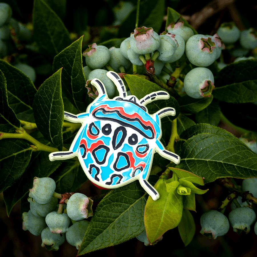 Picasso Bug Enamel Pin