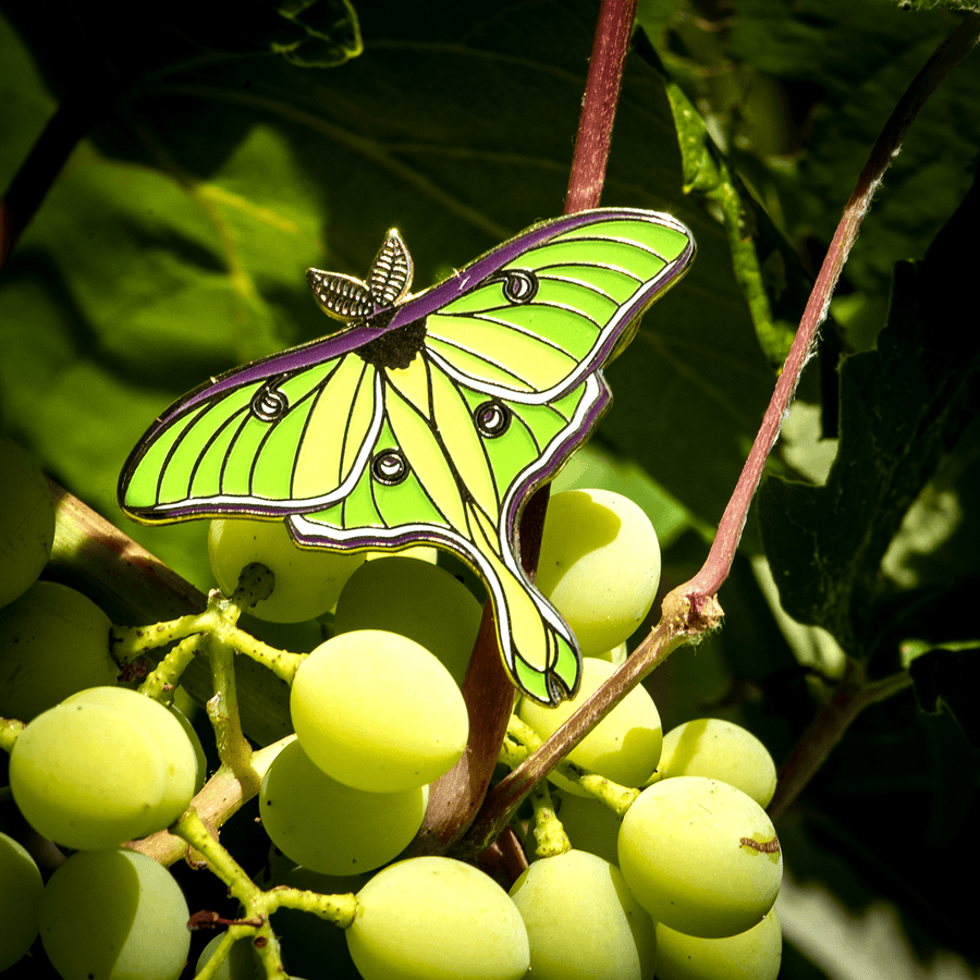 Luna Moth Enamel Pin