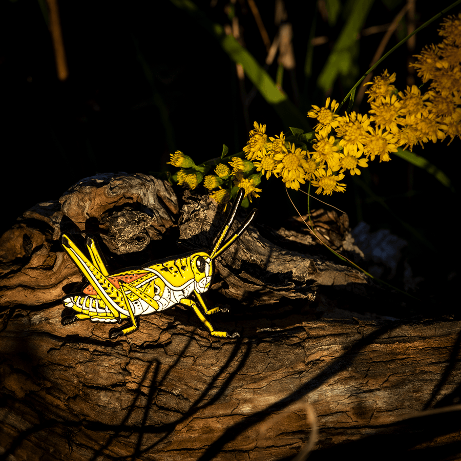 Eastern Lubber Grasshopper Enamel Pin