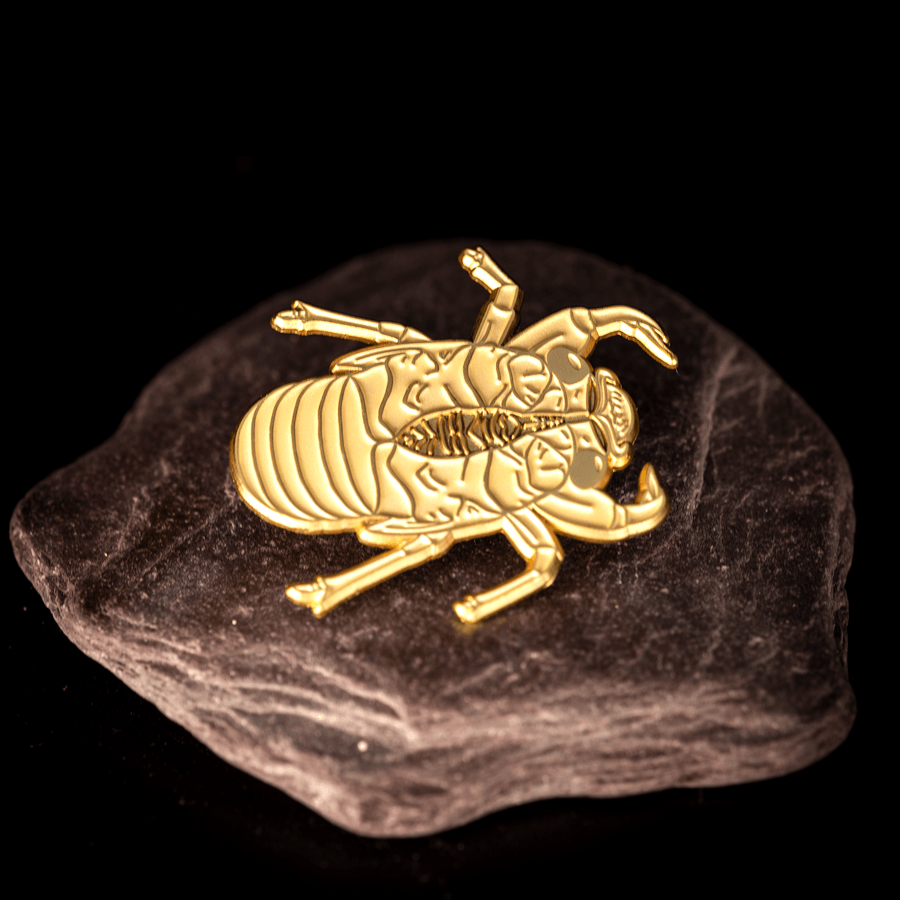 Double Drummer Cicada Life-sized Exuvia Enamel Pin