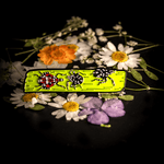 Spotted Lanternfly Nymphs Enamel Pin