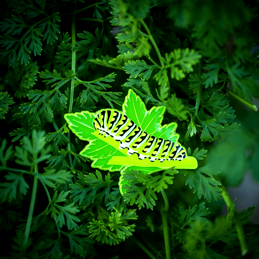 Parsley Worm Caterpillar Enamel Pin