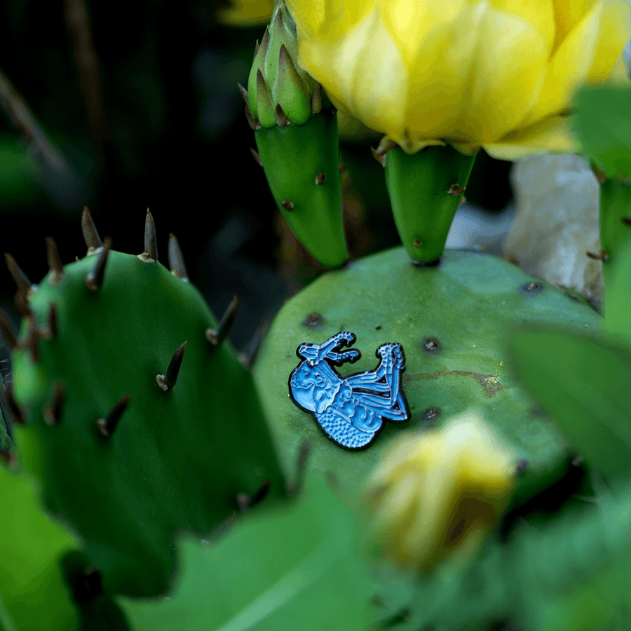Blue Death Feigning Beetle 