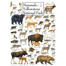 Mammals of Yellowstone National Park 1000 Piece Jigsaw Puzzle