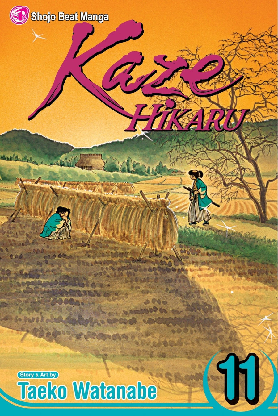 Kaze Hikaru Vol 11