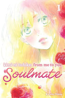 Kimi Ni Todoke: From Me To You Soulmate Vol 1