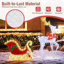LED Lighted Christmas Reindeer and Santas Sleigh