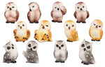 Assorted Mini Owl - Random