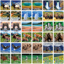 Jr. Ranger - Yellowstone Matching Game