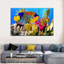 Queen Angelfish Wall Art