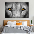 Lion Eyes Pop Wall Art