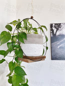Modern Plant Hanger