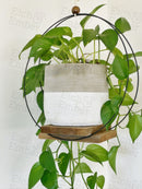 Modern Plant Hanger