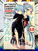 My Youth Romantic Comedy Is Wrong, As I Expected, Vol. 6.5 (light novel)