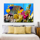 Queen Angelfish Wall Art