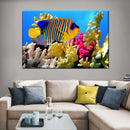 Queen Angelfish Wall Art