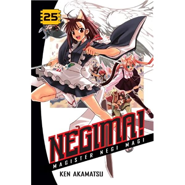 Negima! Magister Negi Magi Vol 25