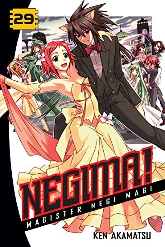 Negima! Magister Negi Magi Vol 29