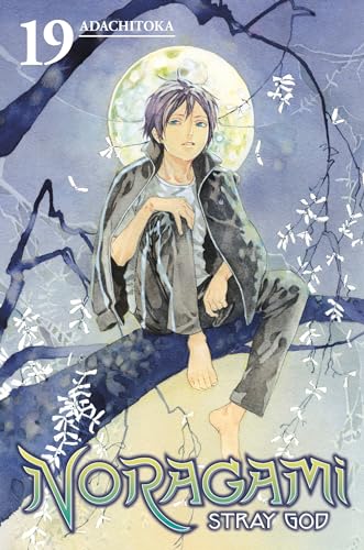 Noragami Stray God Vol 19